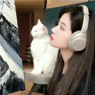 一袋锤子